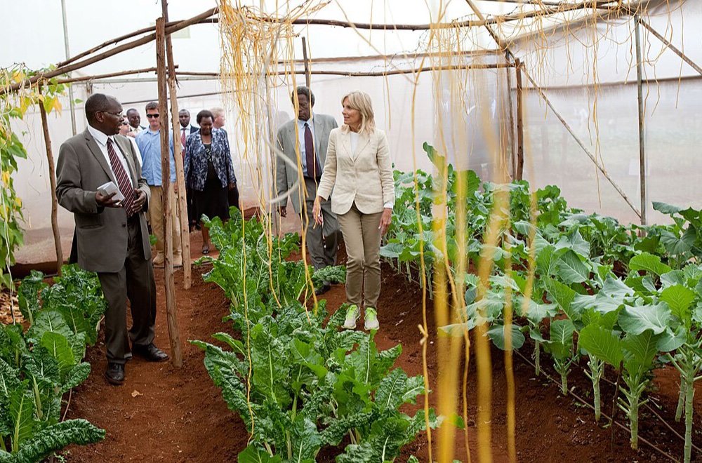 Agroécologie paysanne et sécurité alimentaire au Burkina